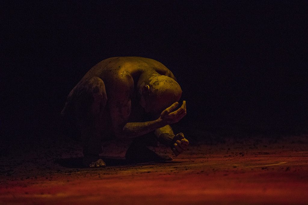 Xenos ©Jean Louis Fernandez