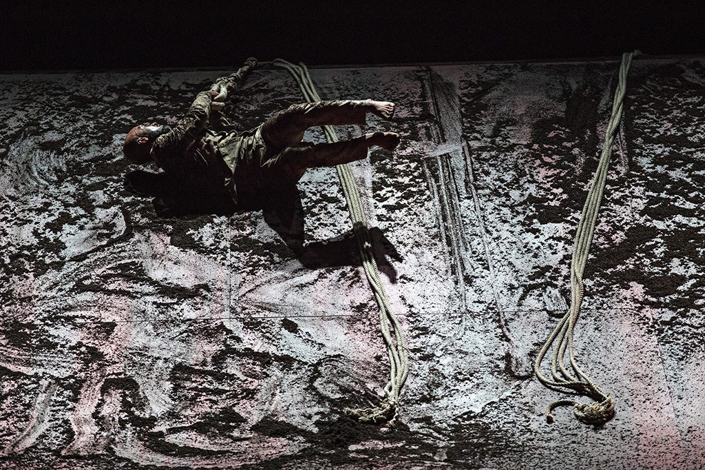 Xenos ©Jean Louis Fernandez