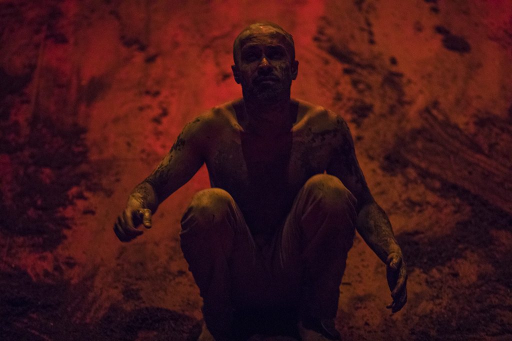 Xenos ©Jean Louis Fernandez