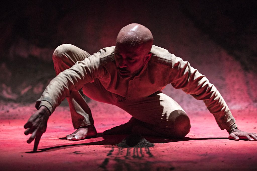 Xenos ©Jean Louis Fernandez