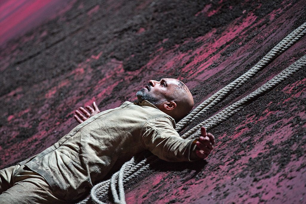 Xenos ©Jean Louis Fernandez