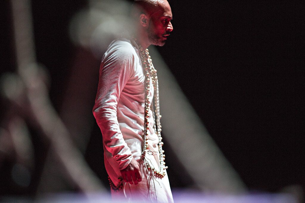 Xenos ©Jean Louis Fernandez