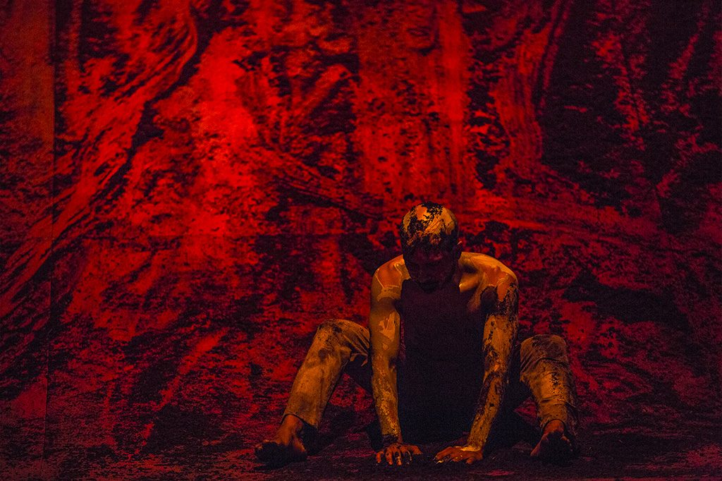 Xenos ©Jean Louis Fernandez