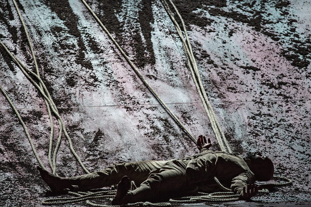 Xenos ©Jean Louis Fernandez