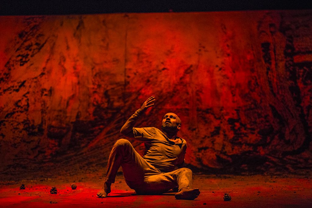 Xenos ©Jean Louis Fernandez