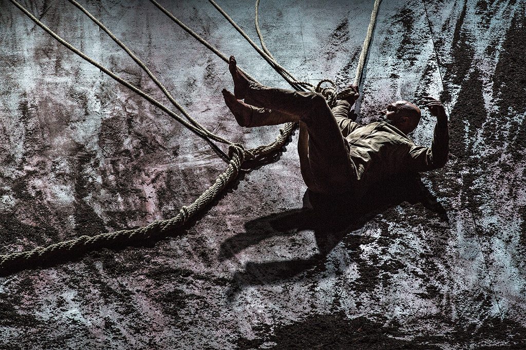 Xenos ©Jean Louis Fernandez